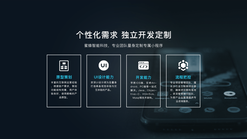 顶凤莱科技